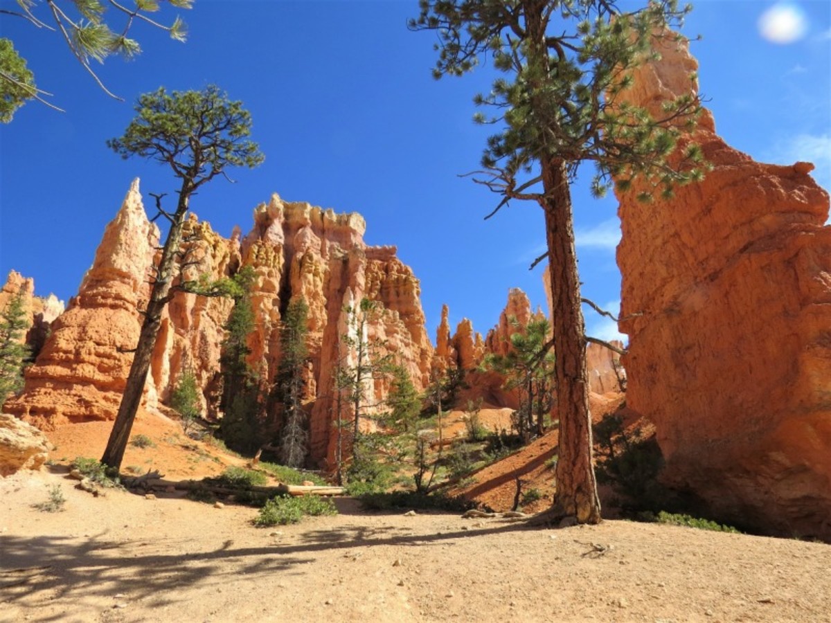 Page > Bryce Canyon (Env. 245 Km, 3h) 0