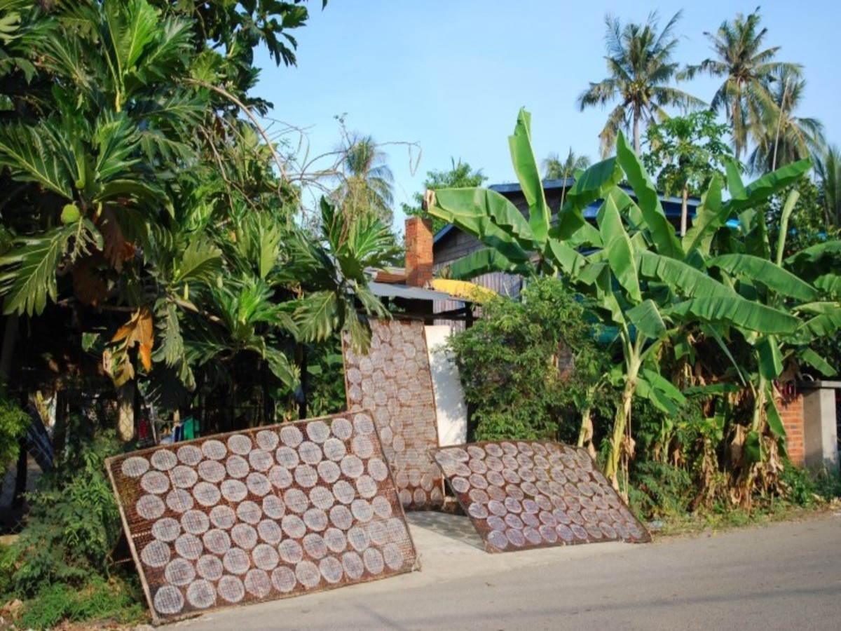 Battambang/Phnom Penh 0