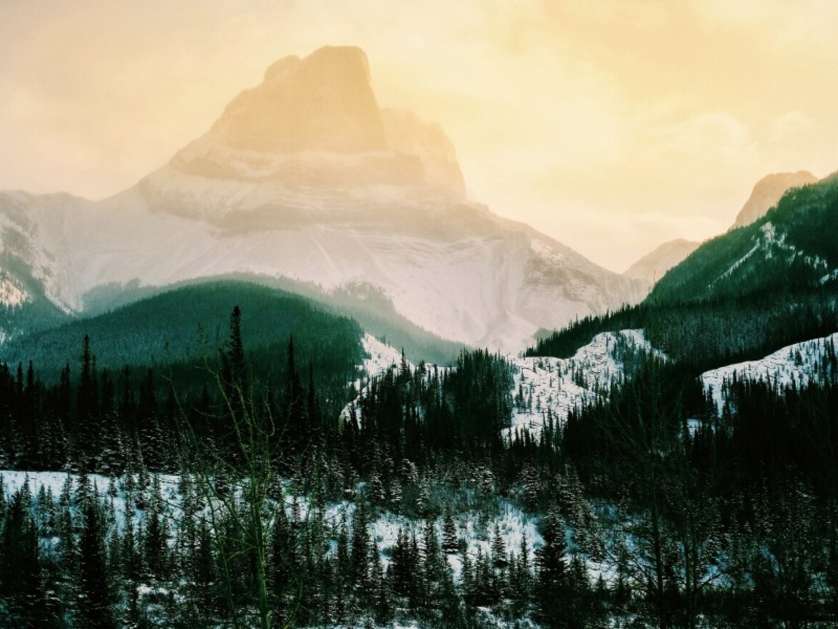 Kamloops > Wells Gray > Jasper (445 Km) 0
