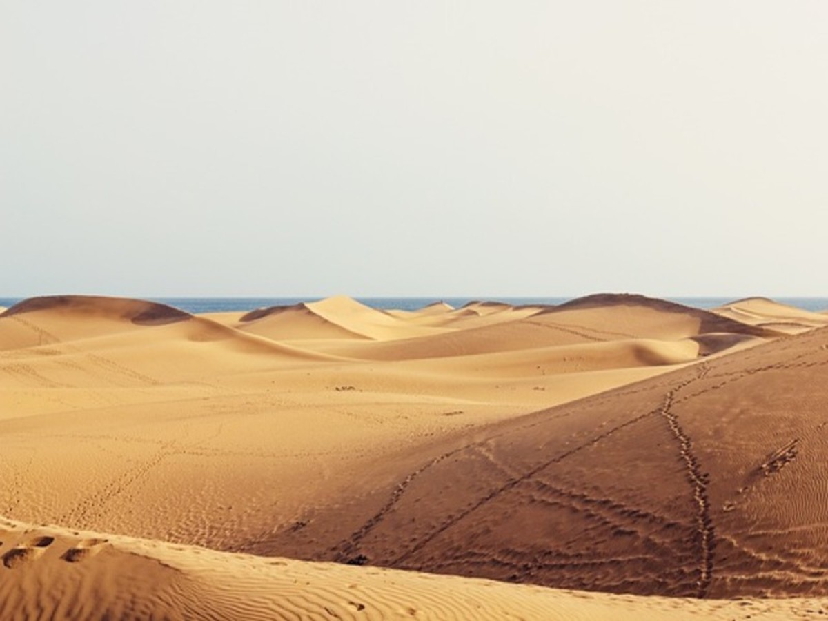Khongoriin Els / Gobi Sud (Vallee De Yol) (200 Km) 0