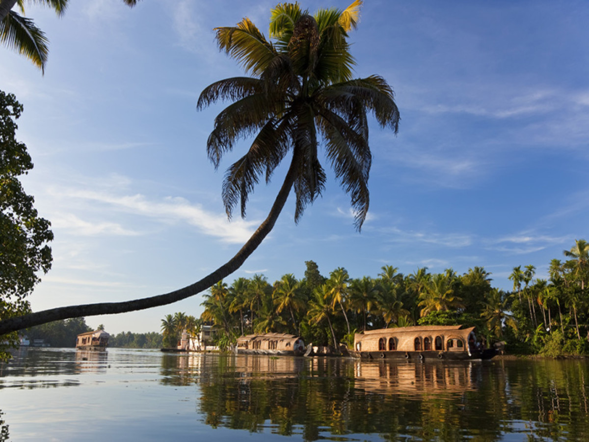 Munnar – Backwaters – Cochin (140 Km – Environ 4h De Route) 0