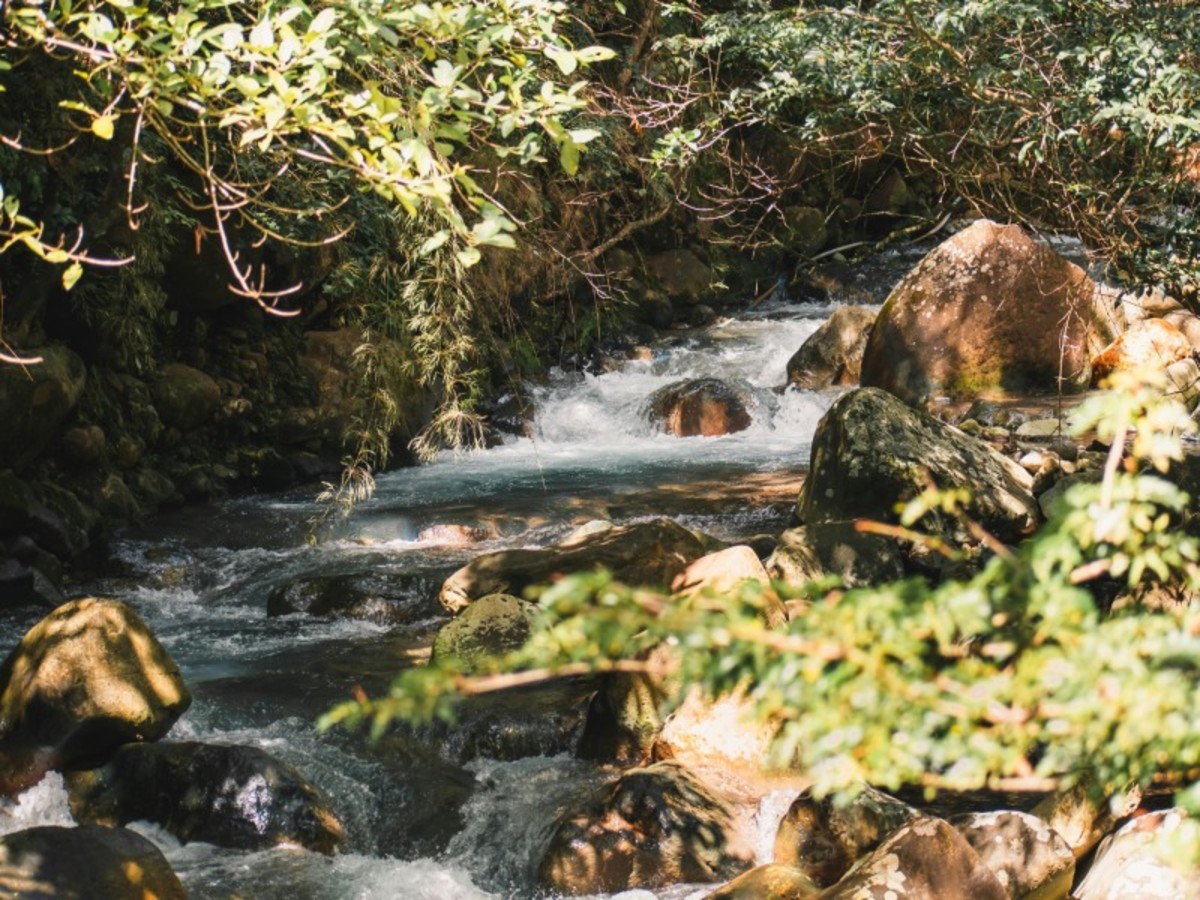 Le Guanacaste – Détente Et Bien être 0