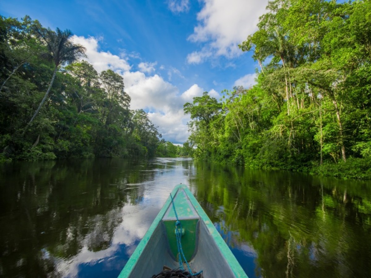 Manaus > Amazonie 0