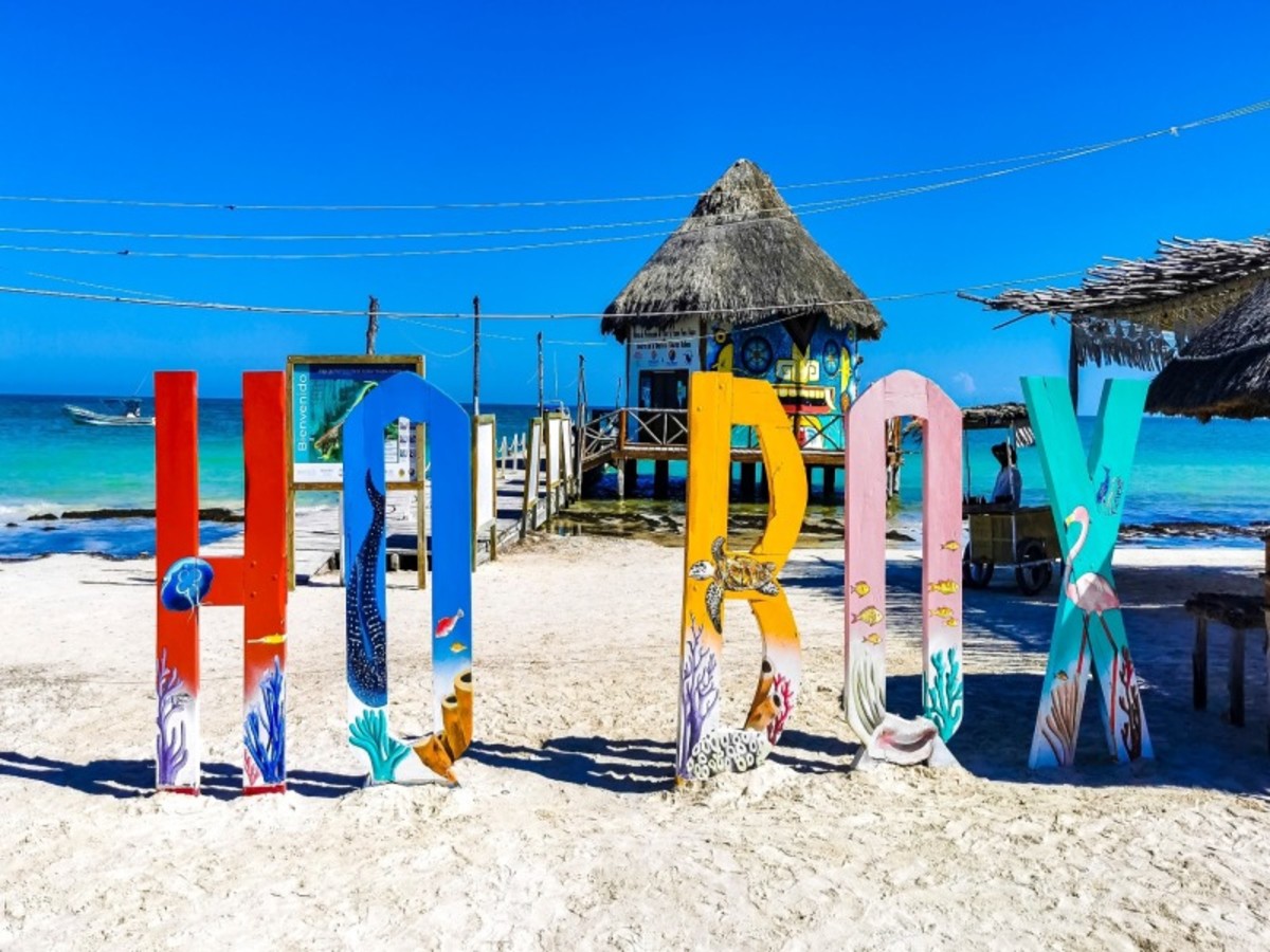 Jeudi / Cancun / Holbox 0