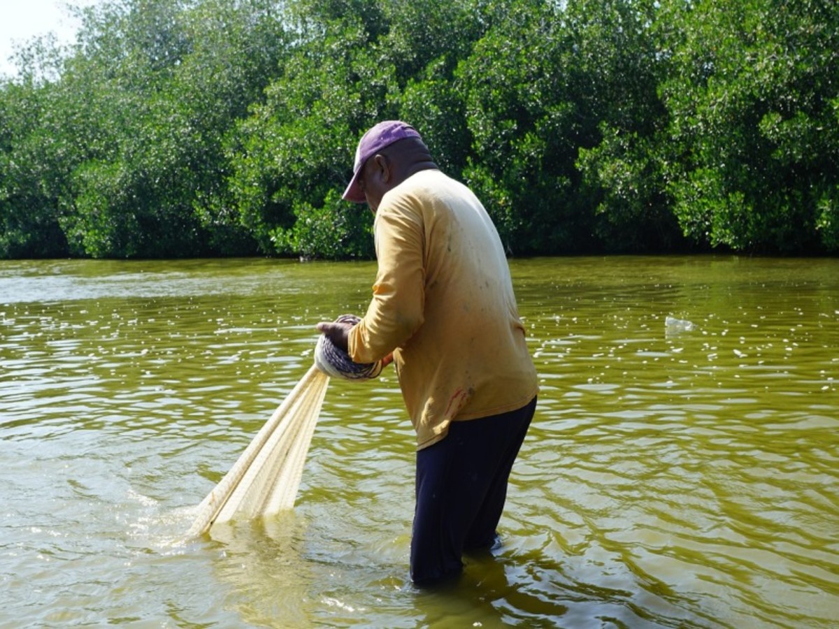 Découverte De La Pêche Et De La Cuisine / Communauté La Boquilla 0