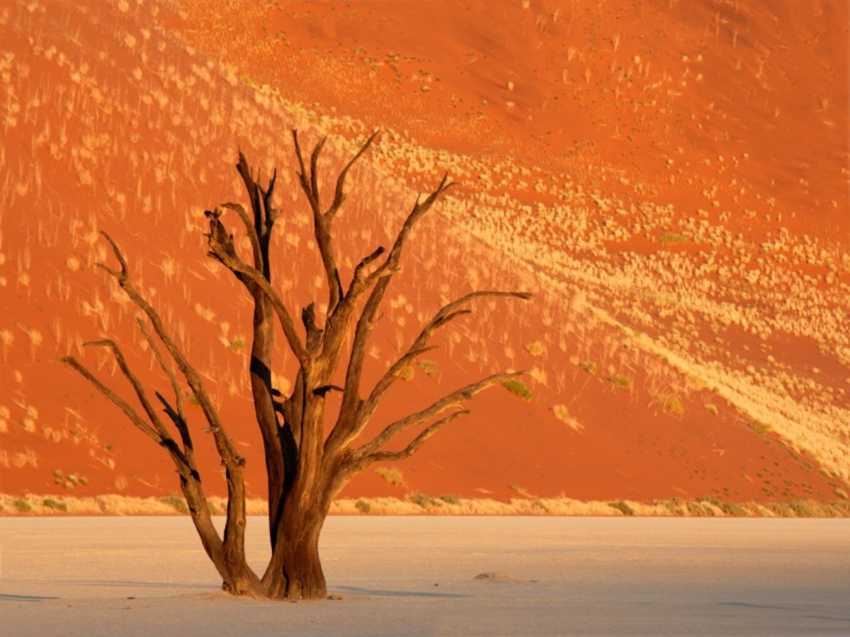 Désert Du Namib > Windhoek (350km) 0
