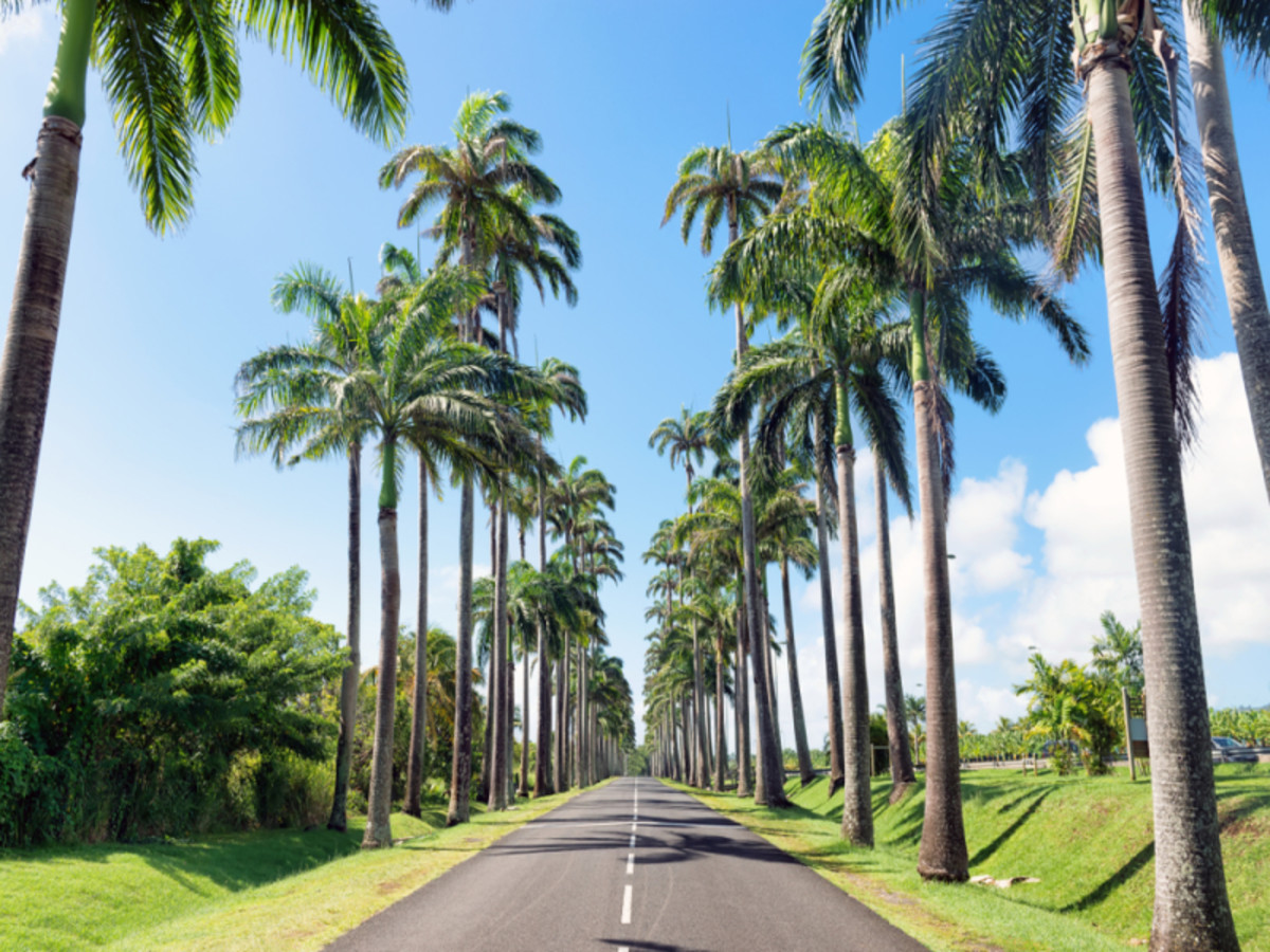 Balade Sur Basse Terre (120 Km) 0