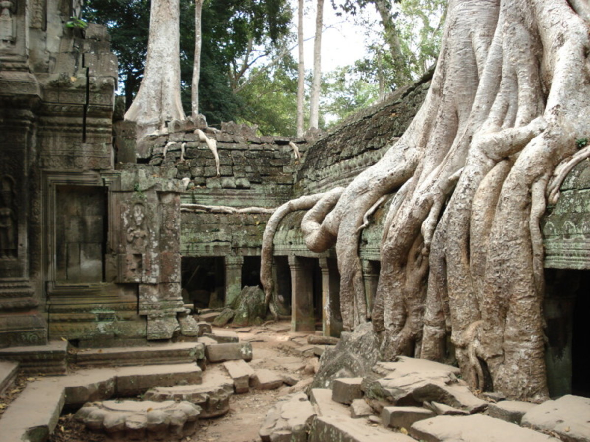 Siem Reap – Ta Phrom – Preah Khan – Siem Reap 0