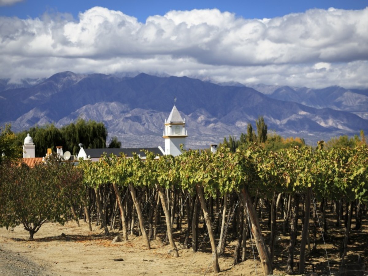 Salta > Cafayate > Salta 0