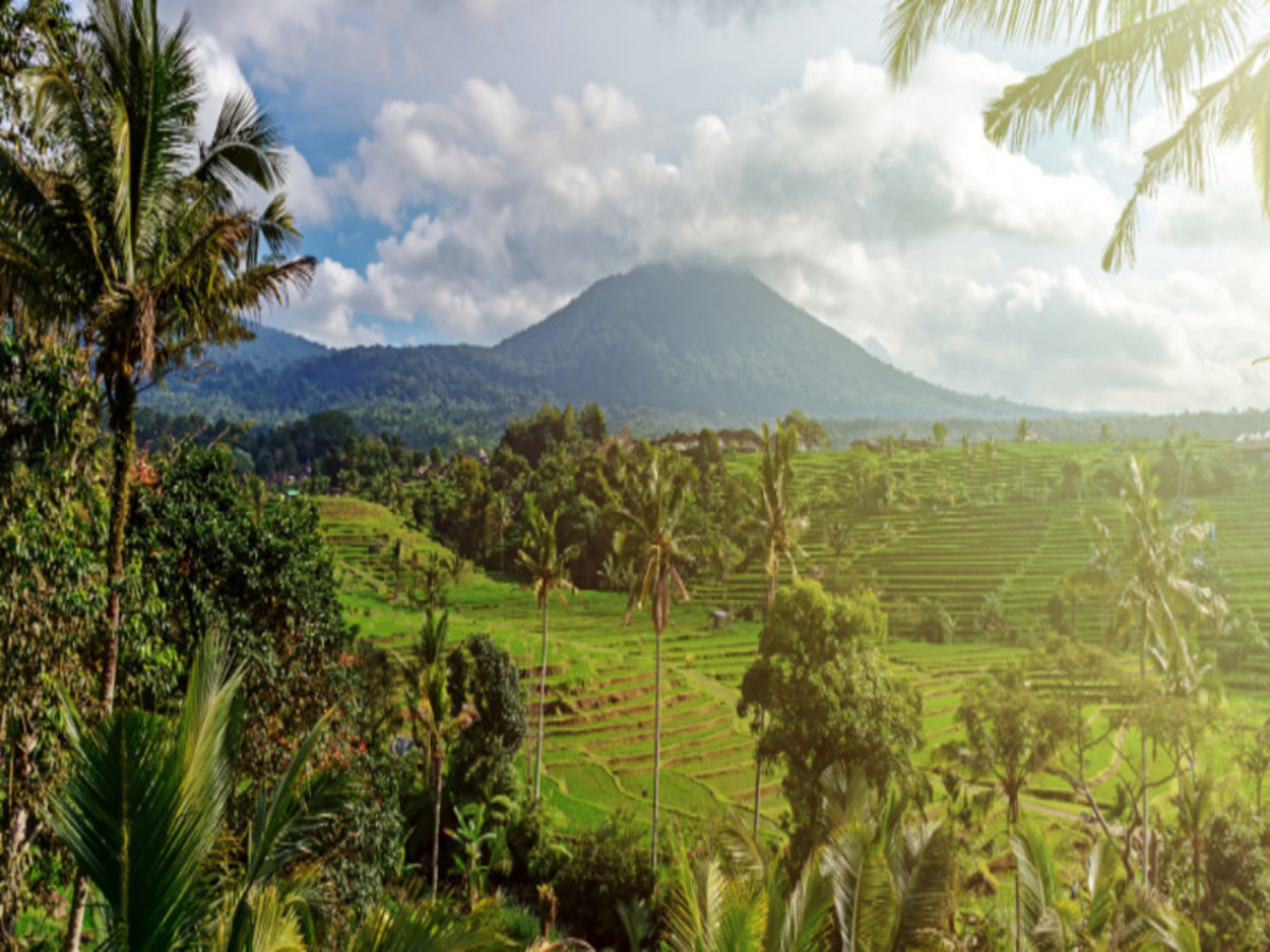 Belimbing > Jatiluwih > Bedugul > Ubud 0