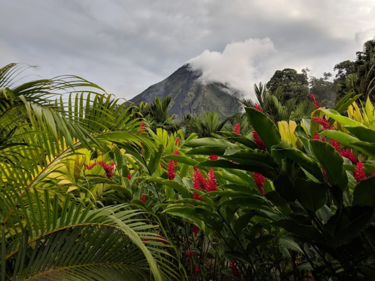 Samedi / Arenal / Sarapiqui 0