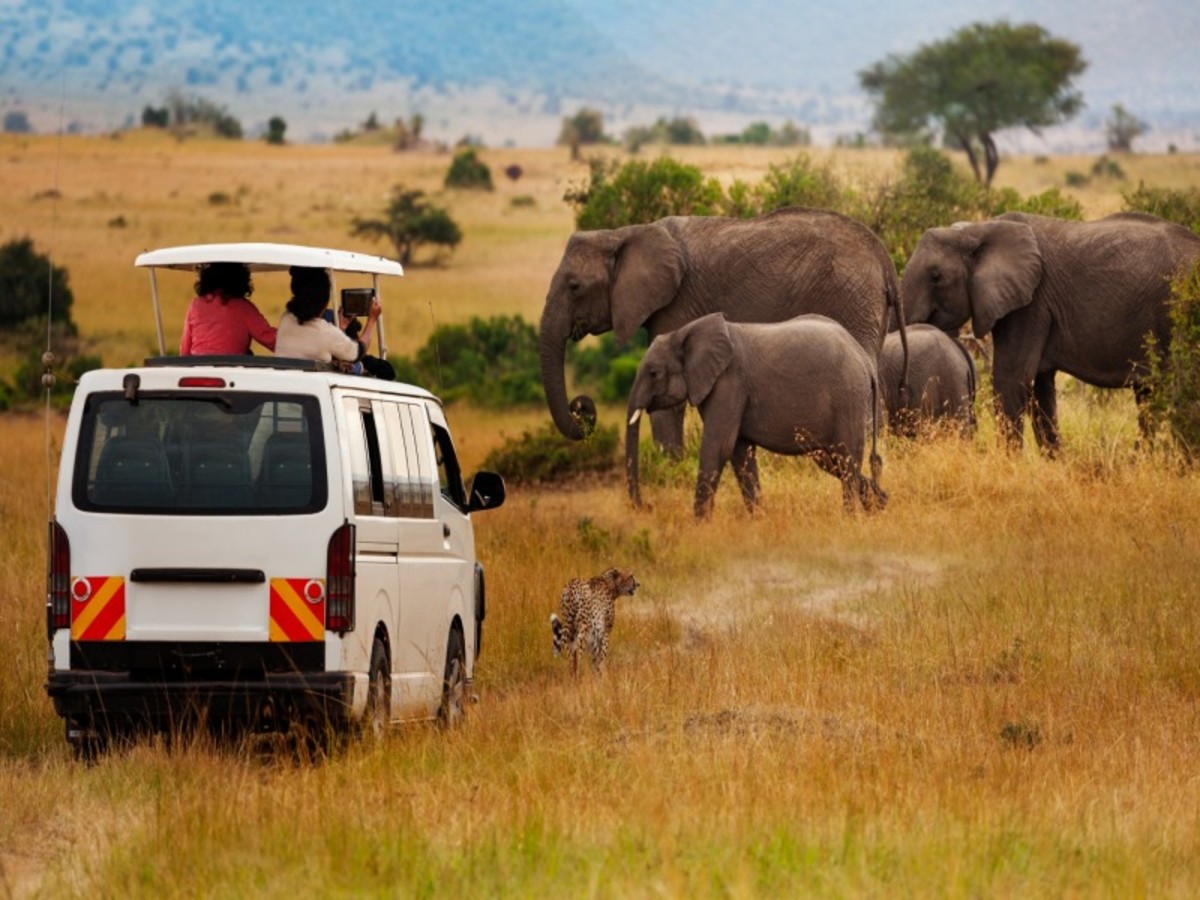 Masai Mara 0