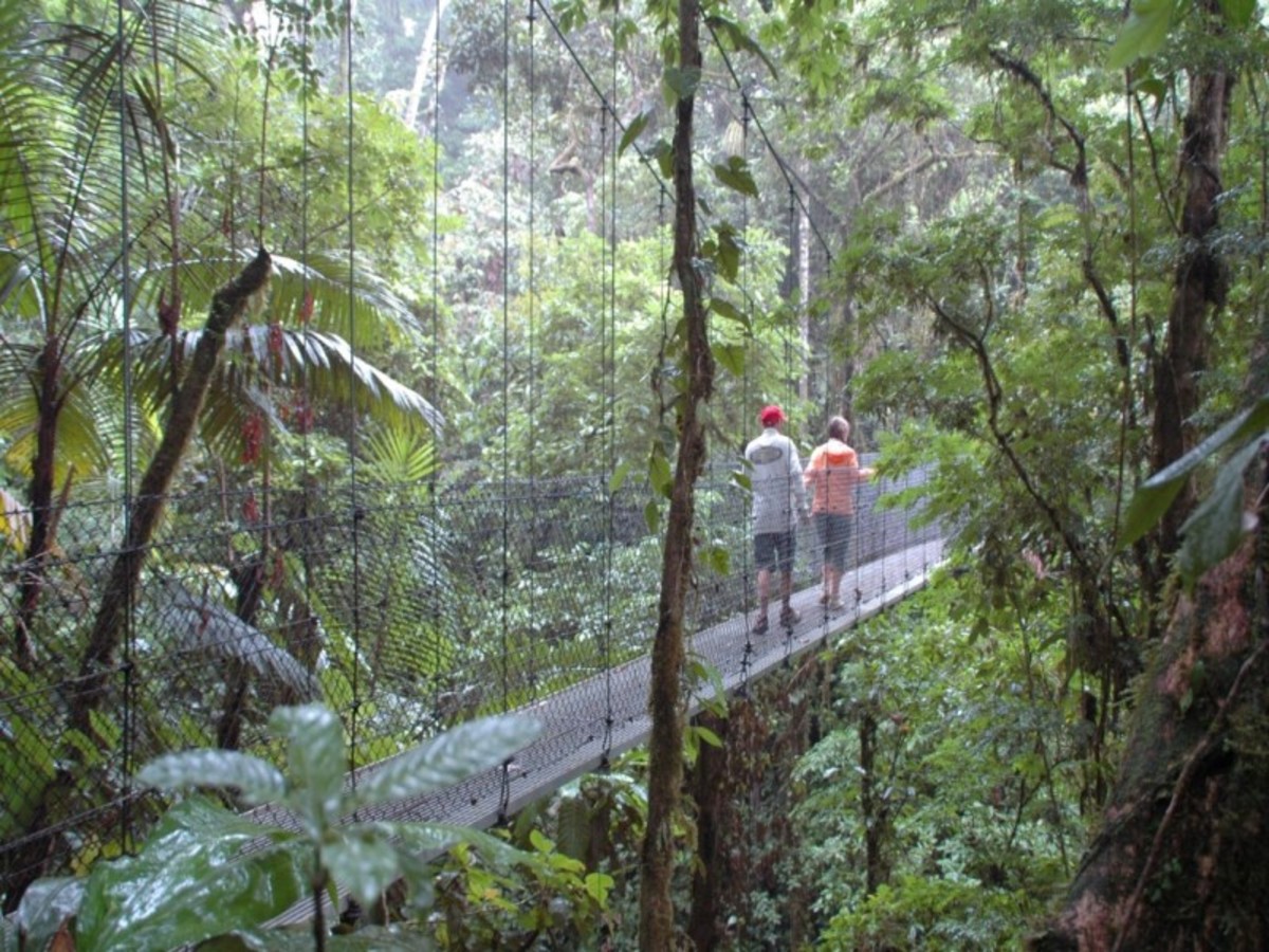 Sarapiqui > Volcan Arenal > Region Guanacaste 0