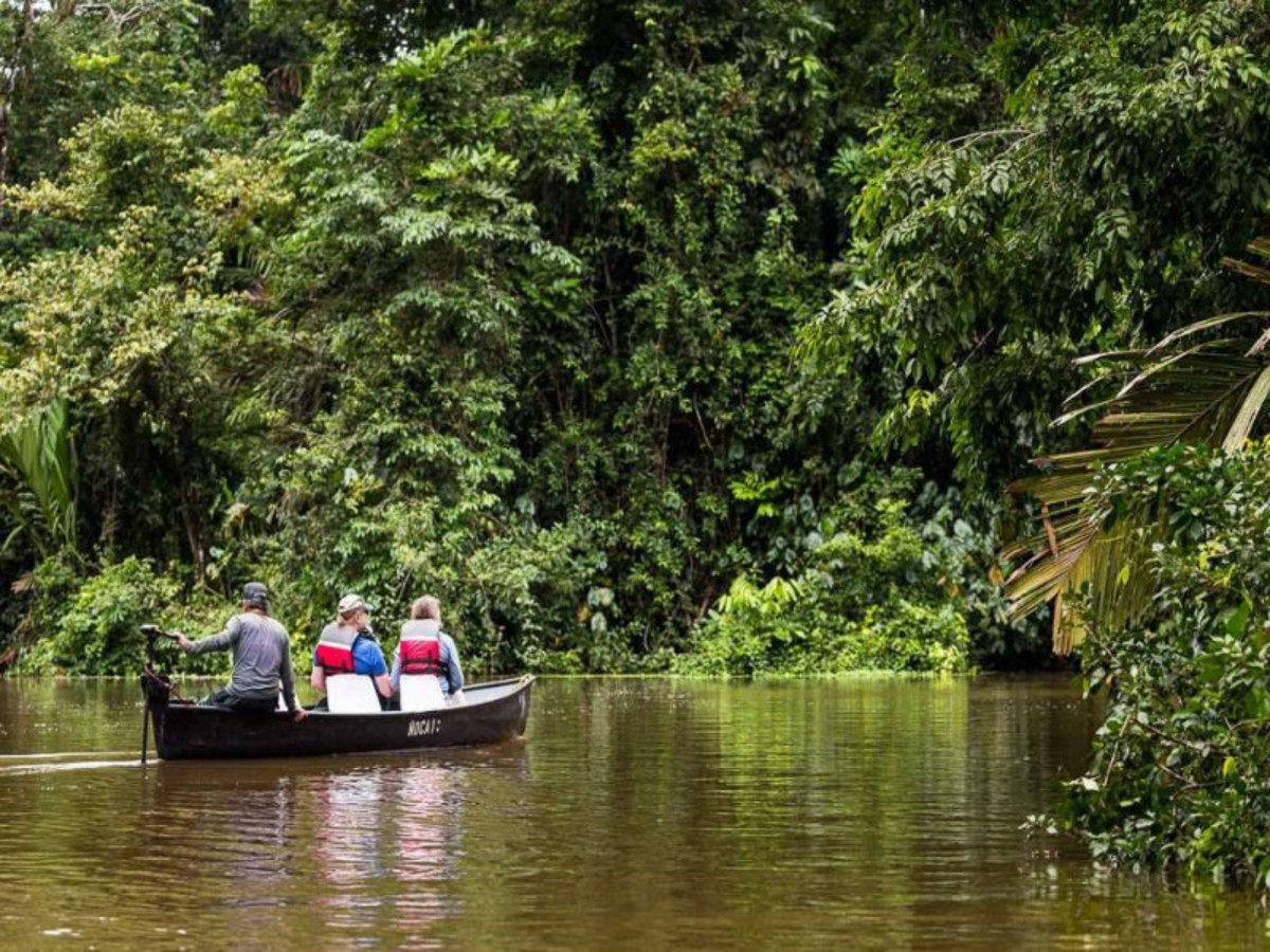 Tortuguero 0