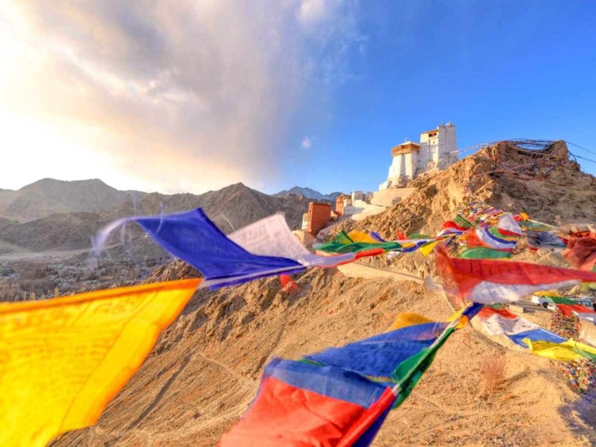 Delhi > Leh ( Vol Interieur) 0