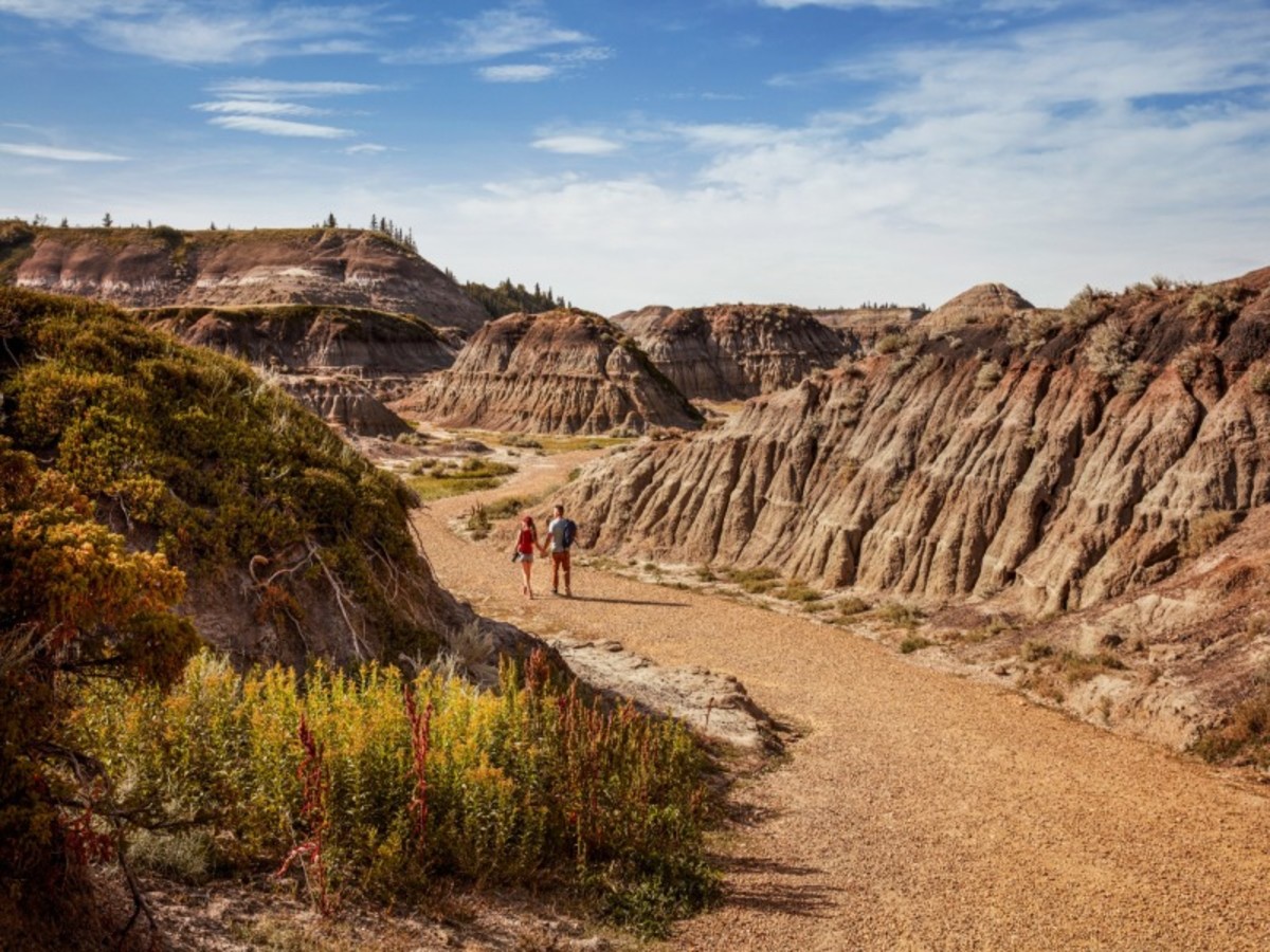 Calgary / Drumheller / Calgary (330 Km   Environ 3h30) 0