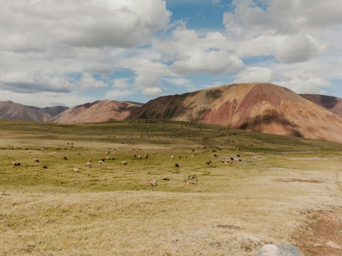 Oulan Bator / Park National De Hustai (110 Km) 0