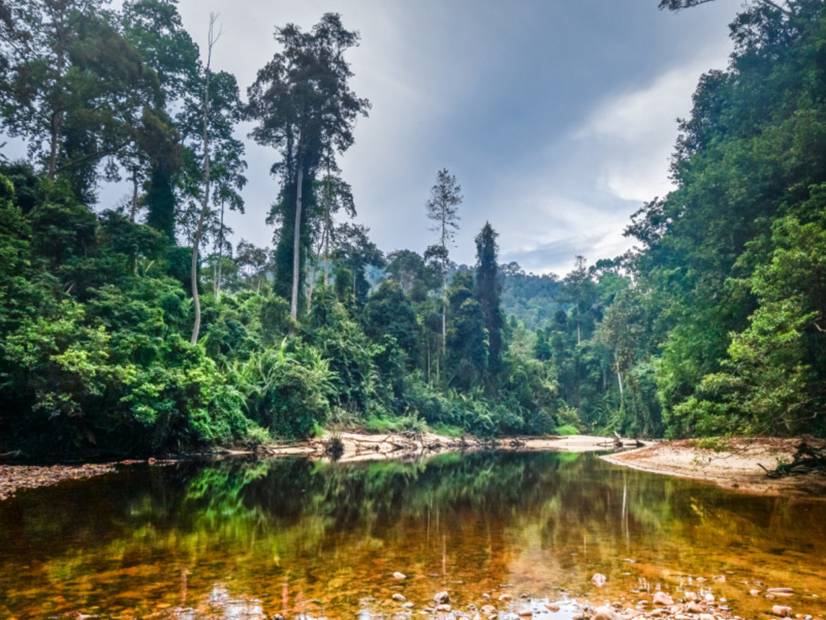 Kuala Lumpur > Taman Negara 0