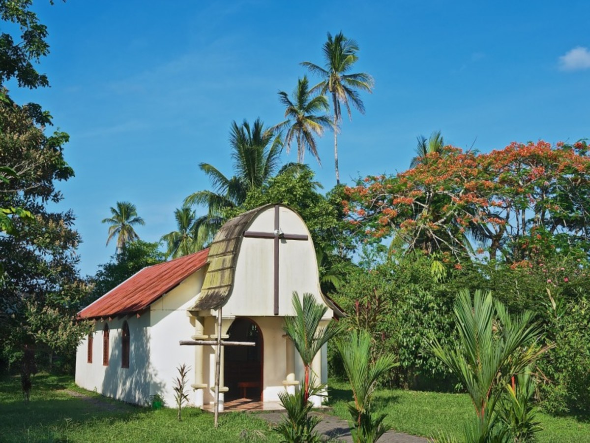 Tortuguero 0