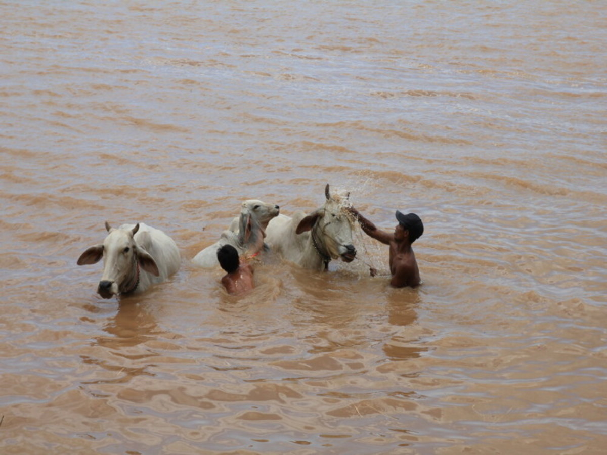 Phnom Penh/Départ 0