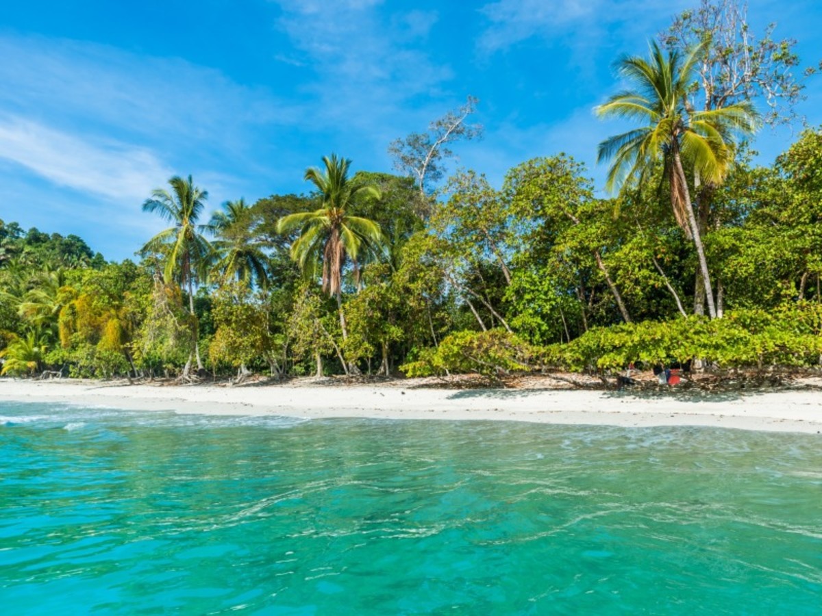 Mercredi / Manuel Antonio 0
