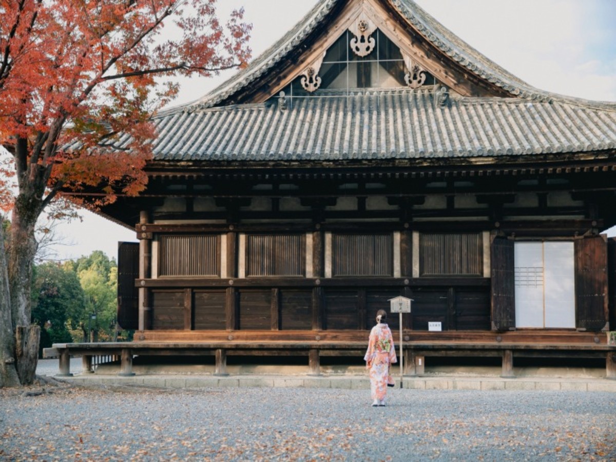 Kyoto / Osaka / France 0