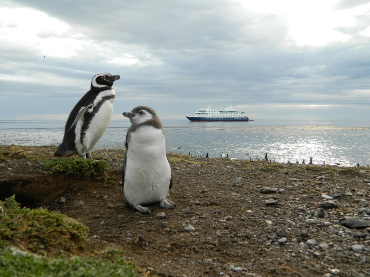 Croisiere : Seno Agostini > Glacier Aguila > Glacier Condor 0