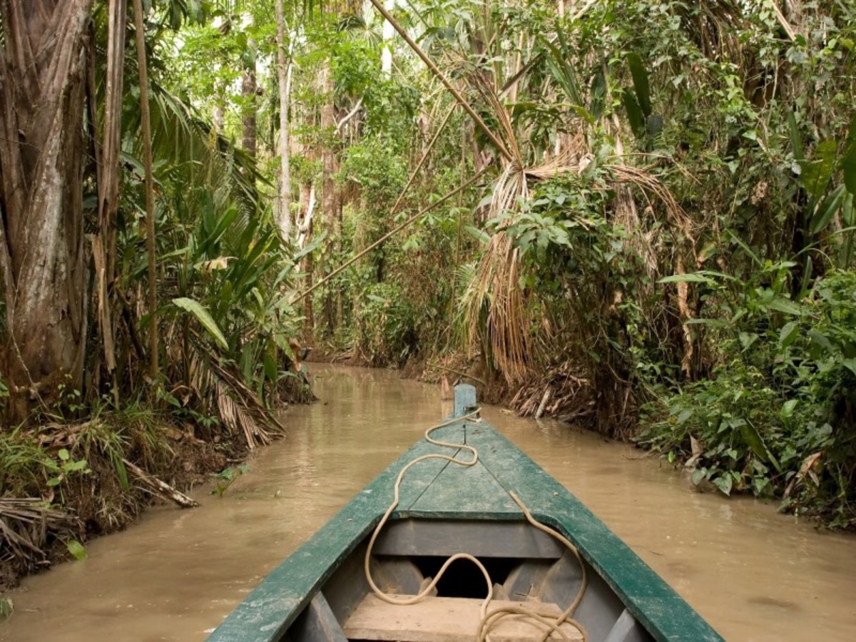 Amazonie / Puerto Maldonado > Lima (01 H35 De Vol) > Vol Pour La France 0