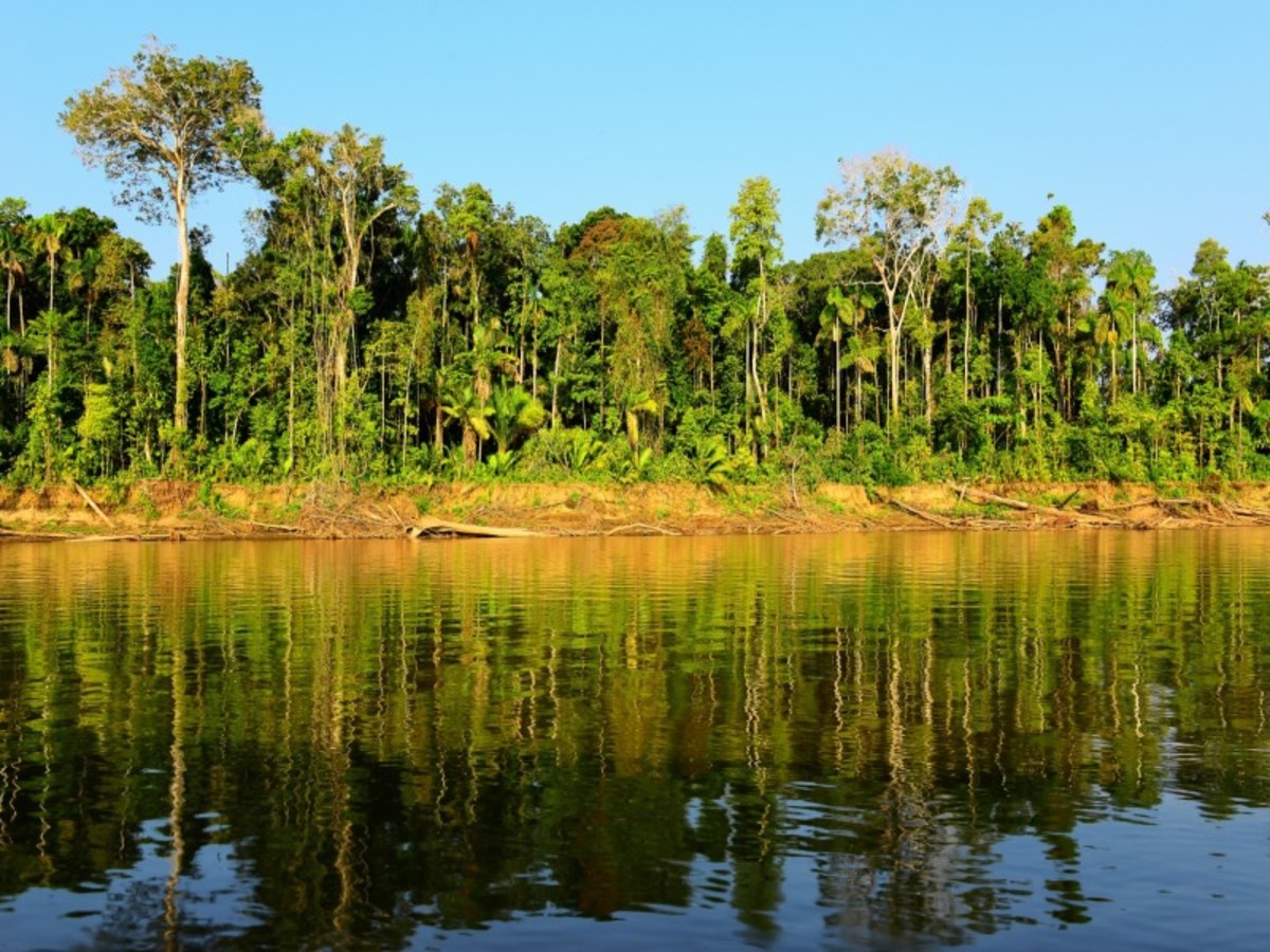 Amazonie 0