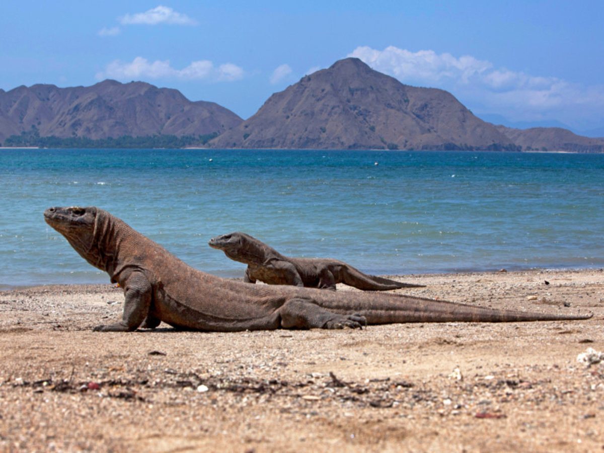 Labuan Bajo 0
