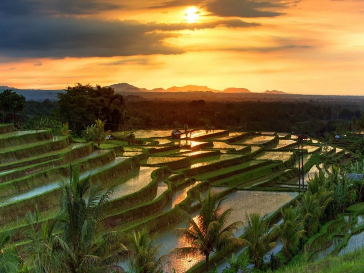 Legian, Marga, Jatiluwih, Legian 0