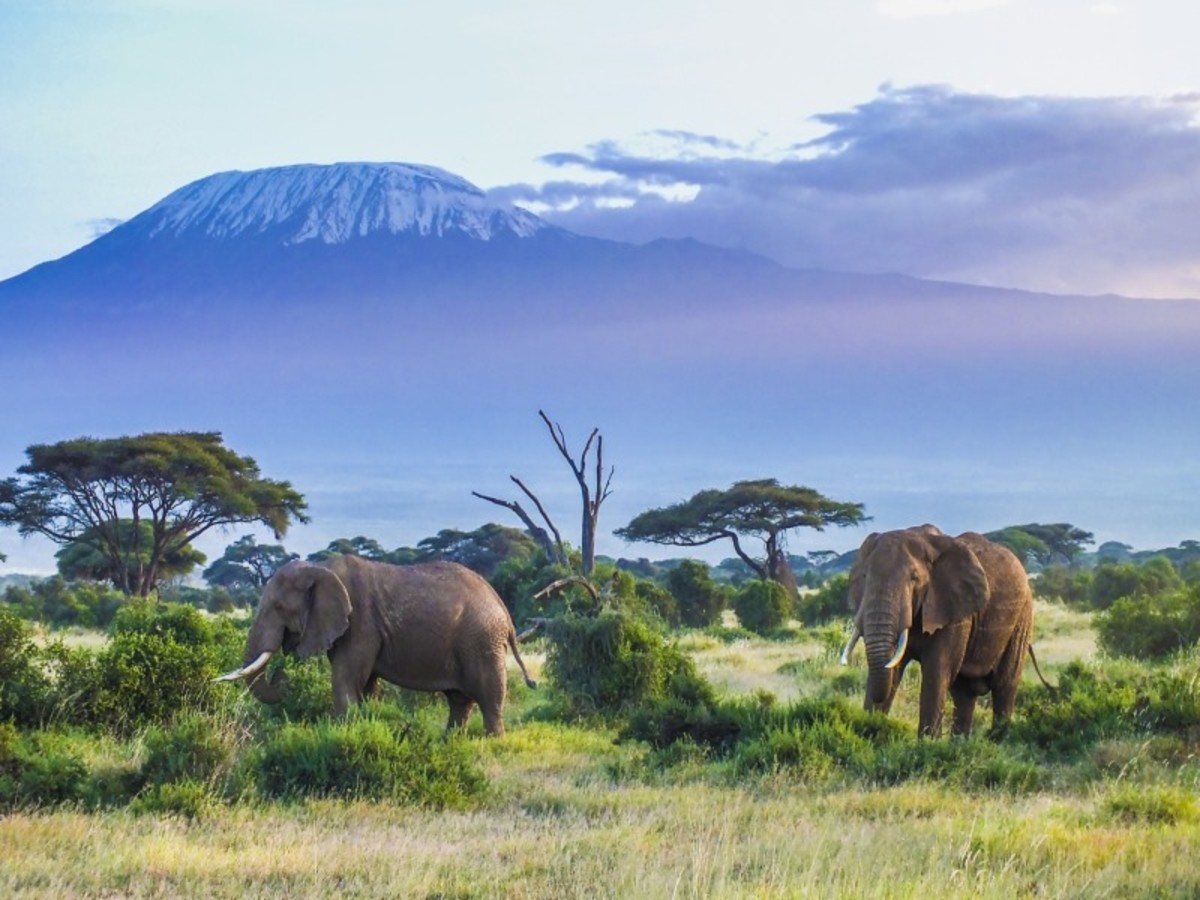 Kilimandjaro > Arusha 0