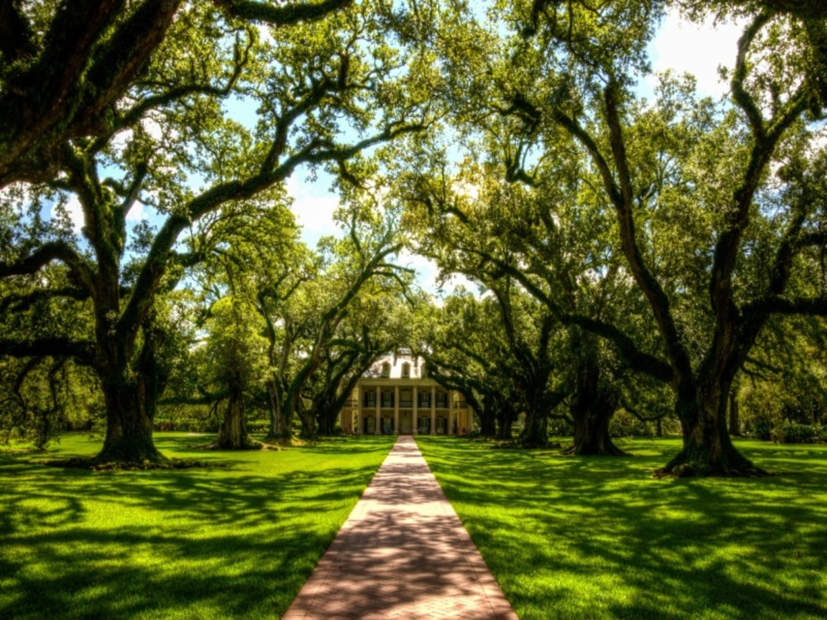 New Orleans > Baton Rouge (300 Km) 0