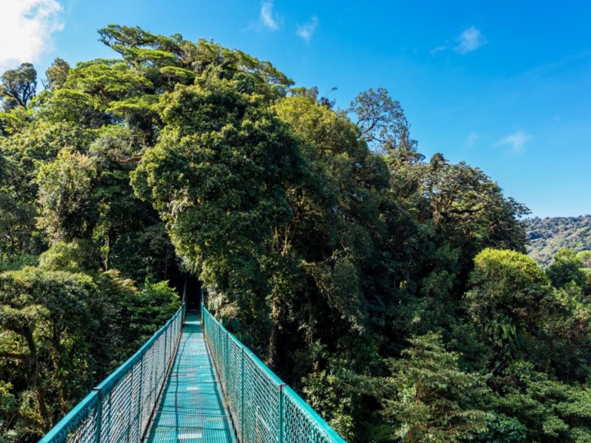 Rincon De La Vieja > Monteverde (180 Km / 4h) 0
