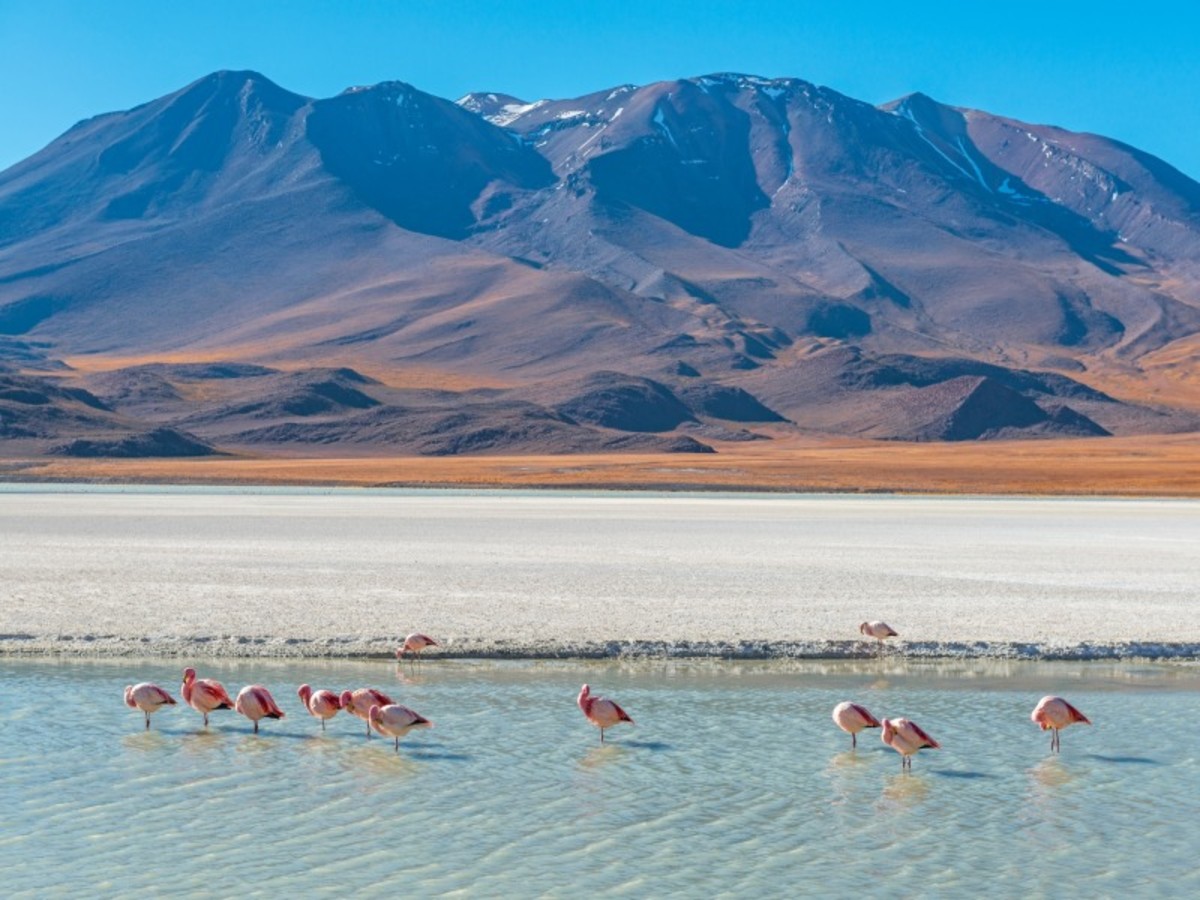 Mardi / Uyuni / Salar D'uyuni / Uyuni (60 Km   Environ 1h30) 0