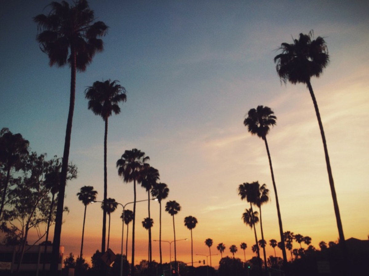 Los Angeles 0