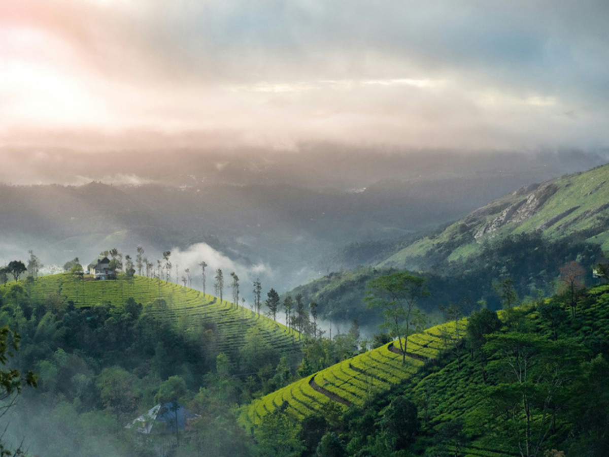 Madurai / Munnar — Env. 140 Km (Env. 4 H 30 à 5 H) 0