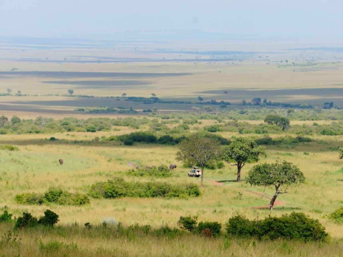 Masai Mara 0