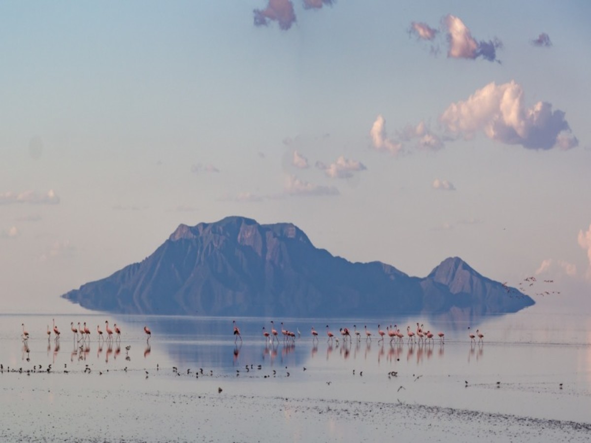 Lac Manyara > Mto Wa Mbu > Lac Natron 0
