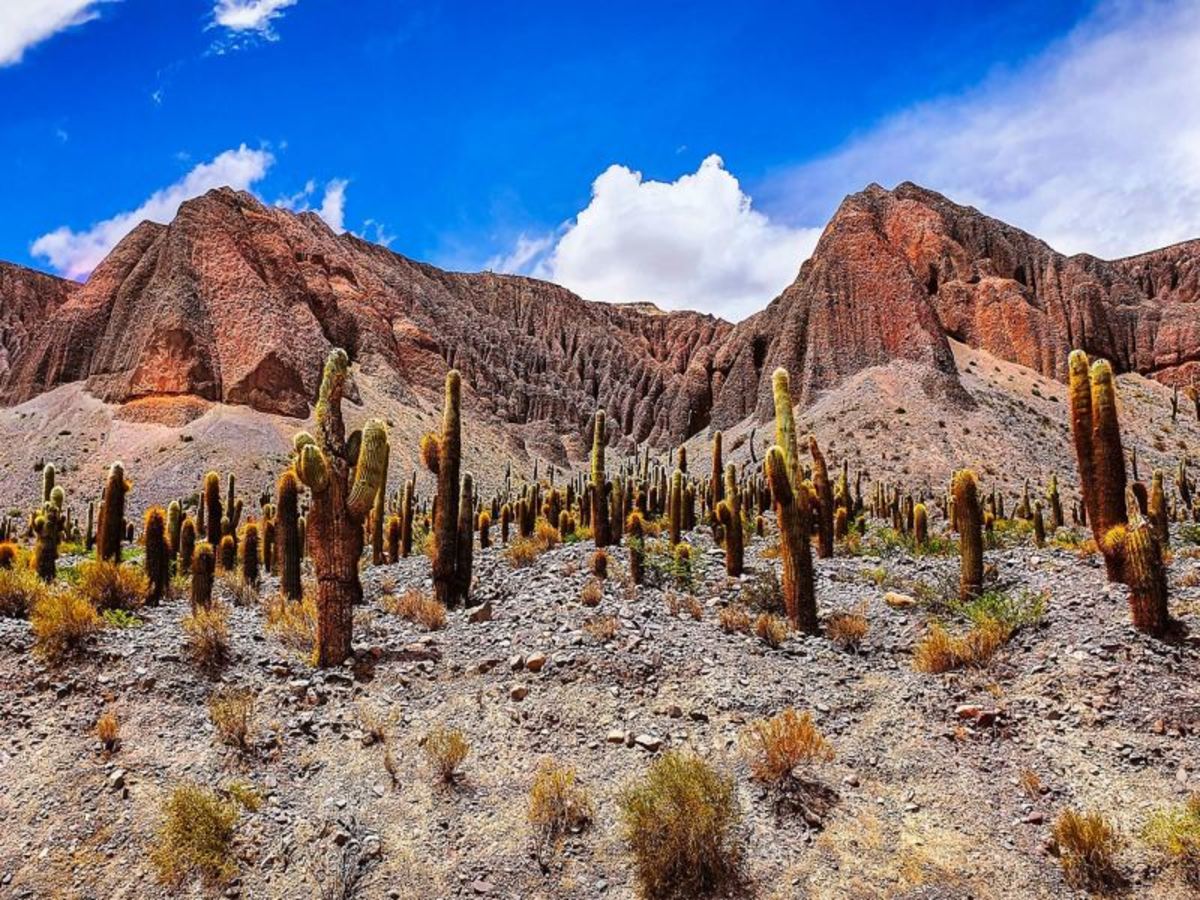 Salta   Purmamarca (Environ 300 Km – 4h De Route, Alt Max 3400 M) 0