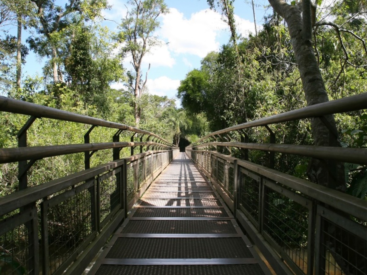 Foz Do Iguaçu (Côté Brésilien & Argentin) 0