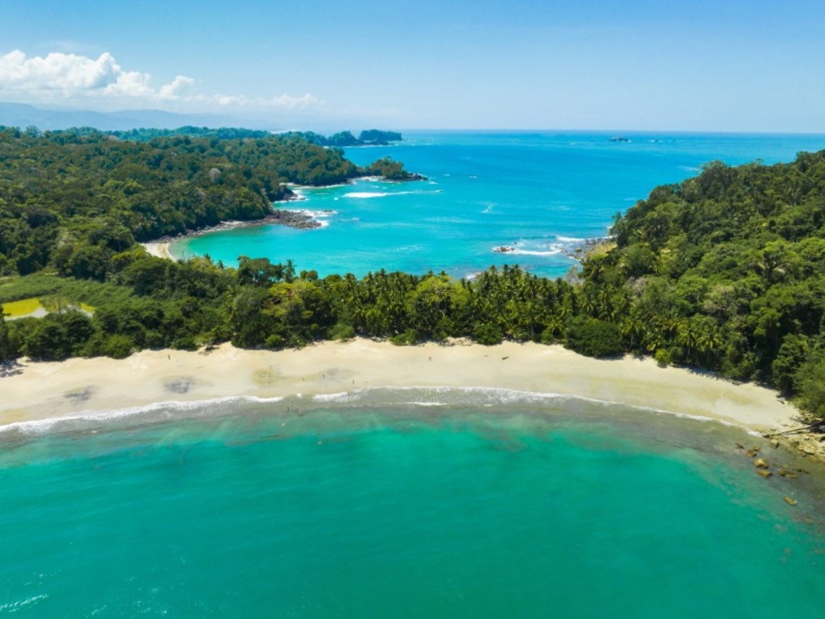 Jeudi / Manuel Antonio 0