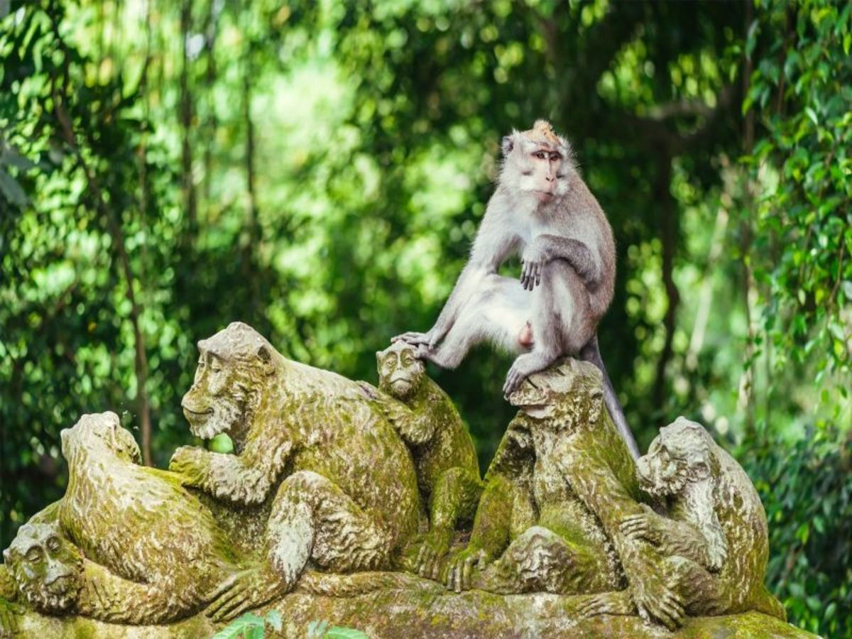 Ubud 0