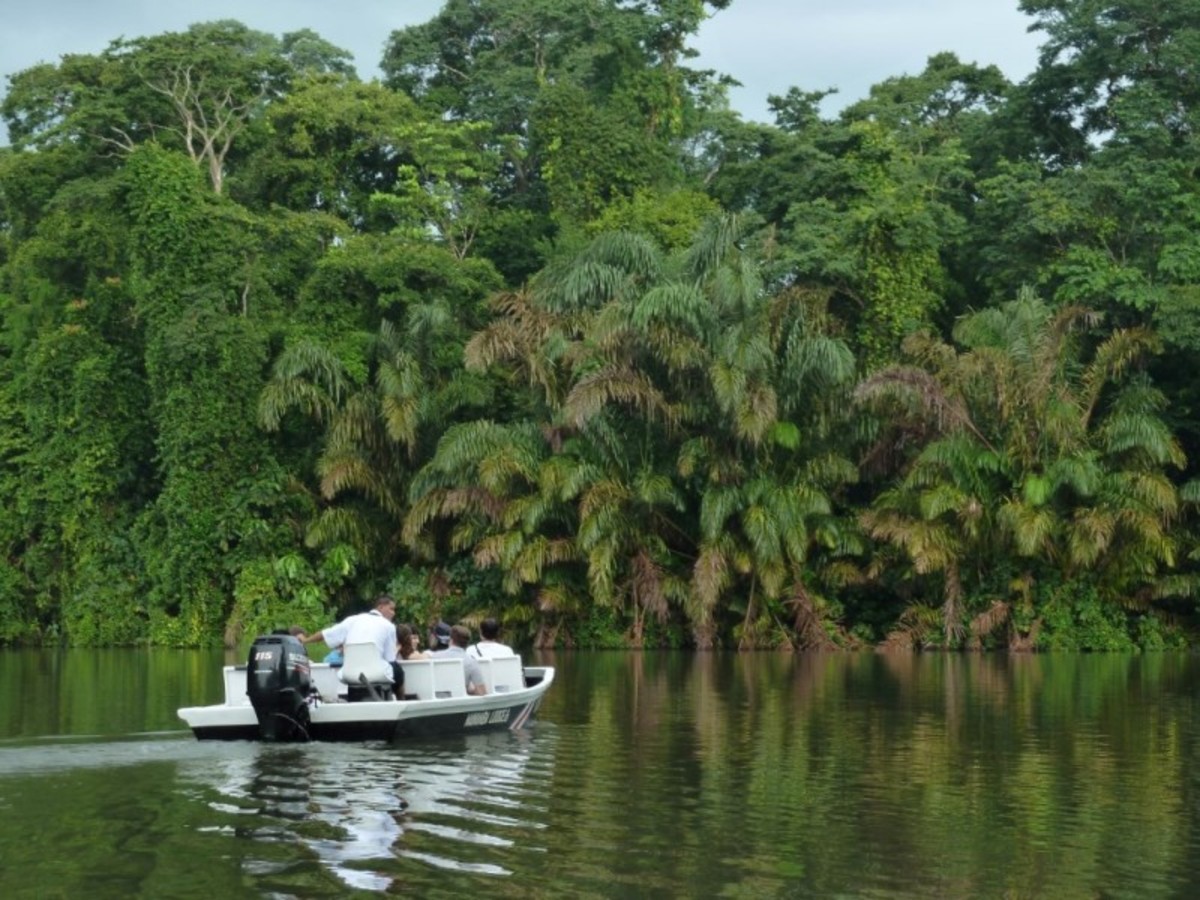 Safari Bateau Au Parc National De Tortuguero. 0