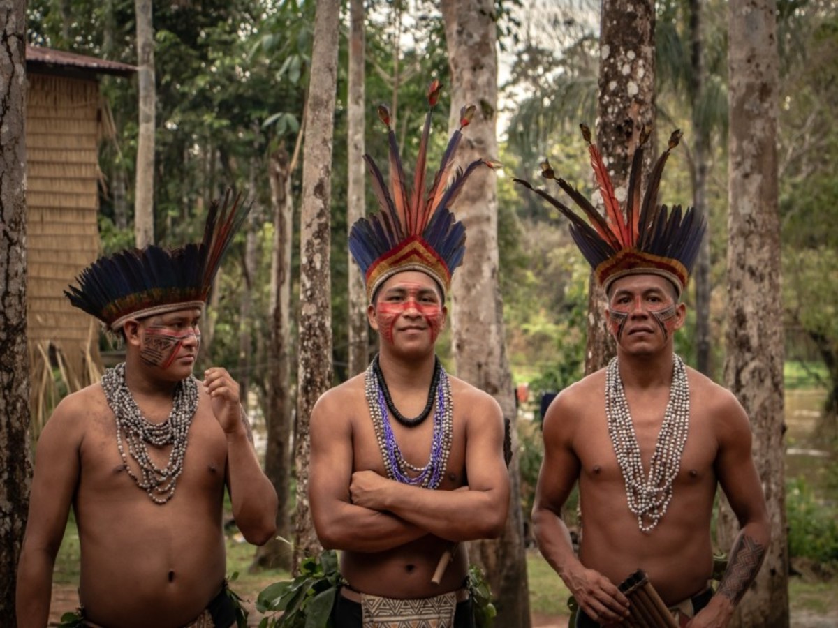 Lundi / Amazonie 0