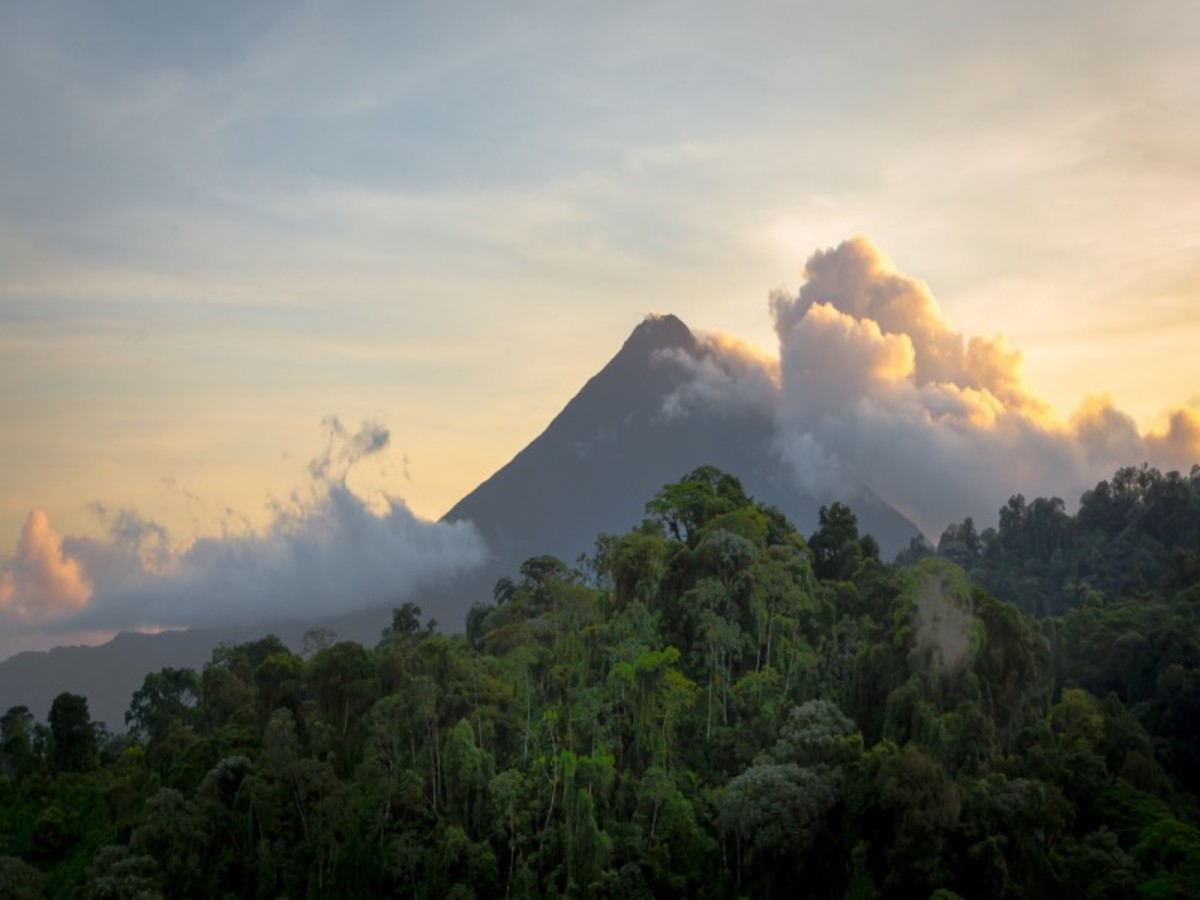 Parc National Arenal > Communaute Malekus > Rincon De La Vieja (195 Km / 3h30) 0
