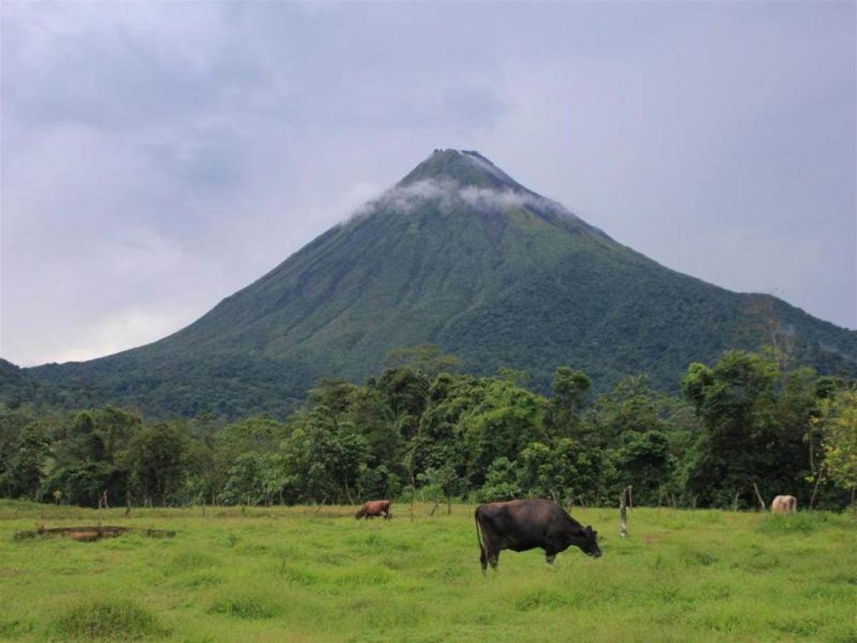 Tortuguero / Volcan Arenal – Vers Une Terre De Feu 0