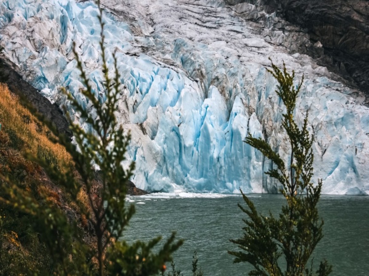 Vendredi / Puerto Natales / Glaciers Balmaceda Et Serrano / Puerto Natales 0