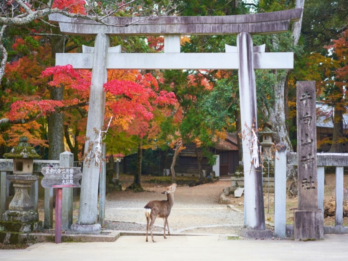 Tokyo / Hakone 0