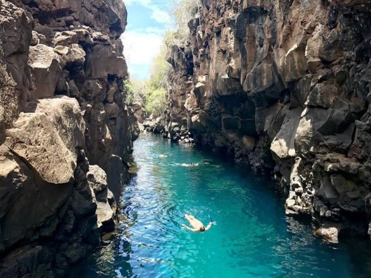 Santa Cruz / Galapagos : ½ Journée D’excursion Dans La Baie De Franklin 0